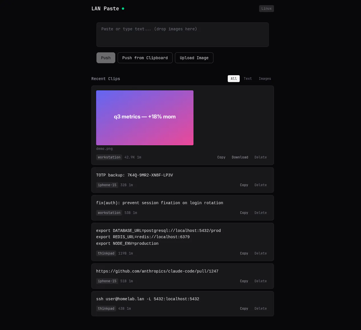 LAN Paste web UI with recent clips from several devices